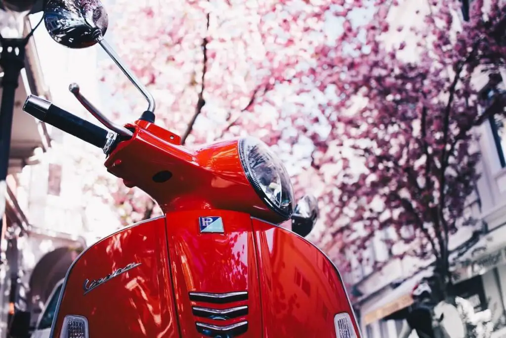 Red Moped